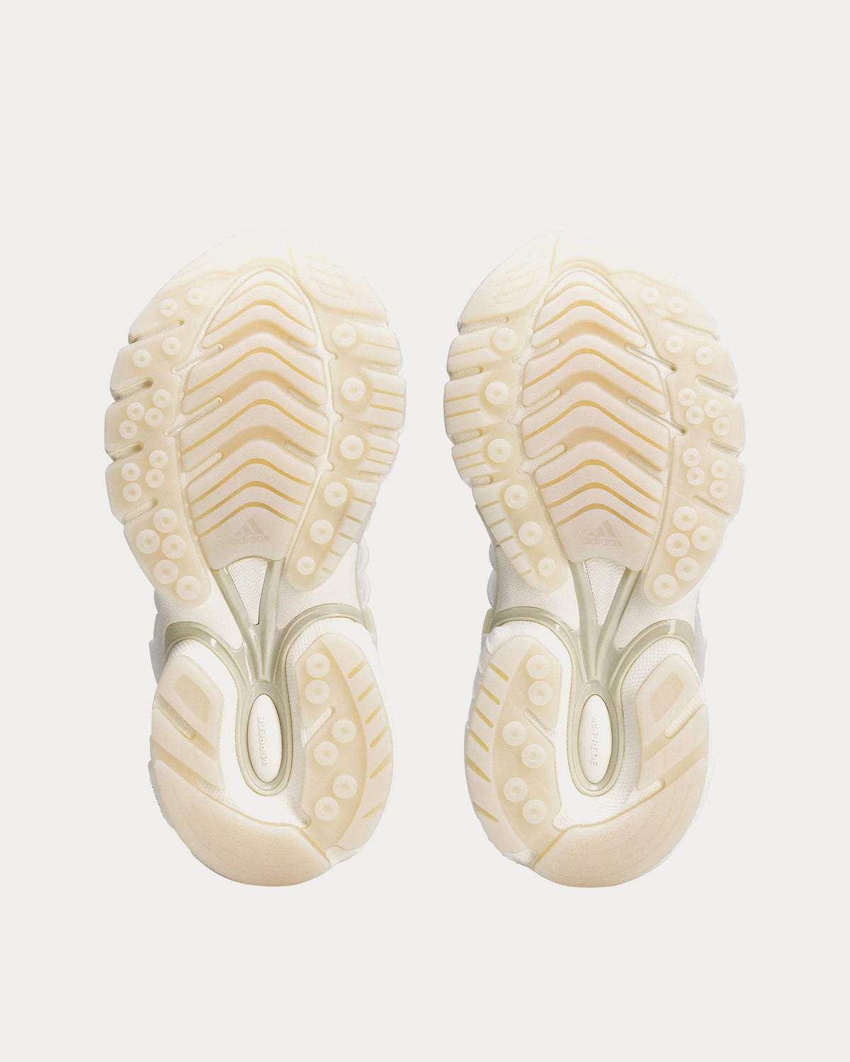 VIRGINIA Jellyfish