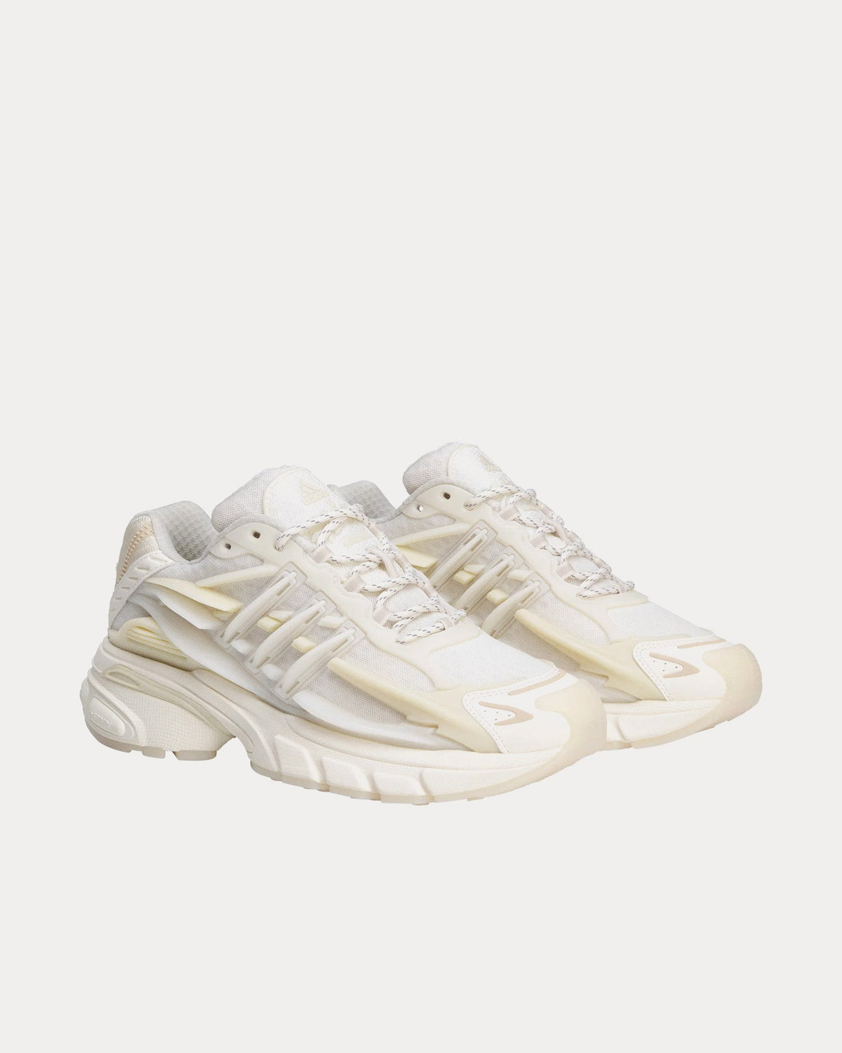 VIRGINIA Jellyfish